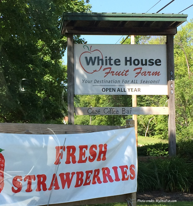 White House Fruit Farm Strawberries