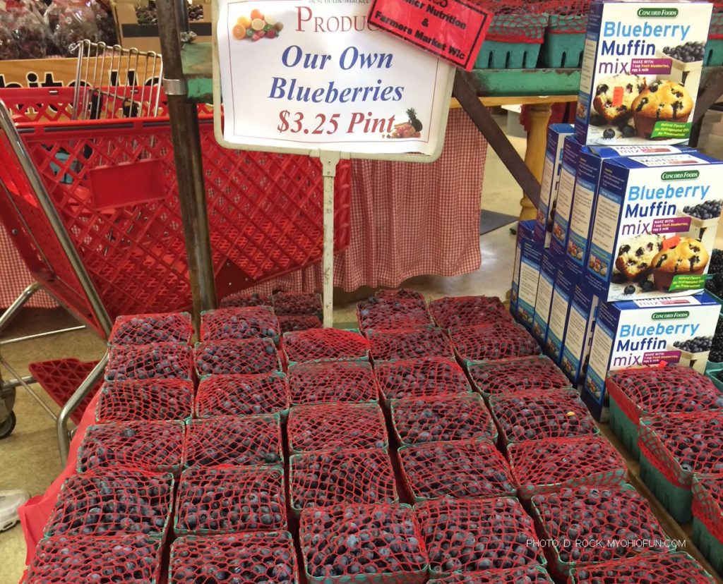 Ohio Blueberry farms and events