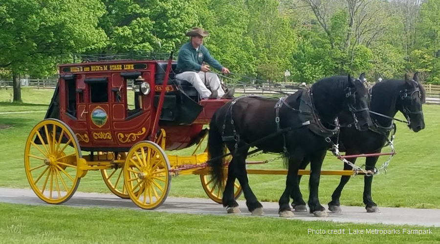 HorseFest - My Ohio Fun