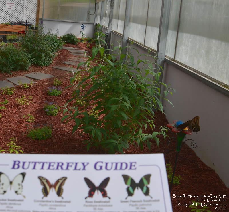 Butterfly House Put-in-Bay