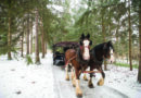 DASHING THROUGH THE SNOW…. Ohio Carriage and Sleigh Rides