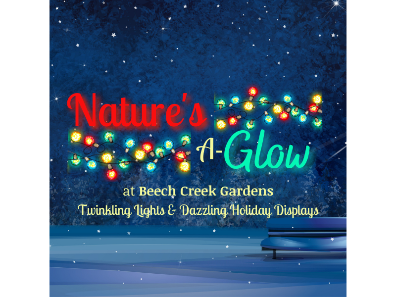 Nature's A-Glow Beech creek Gardens 