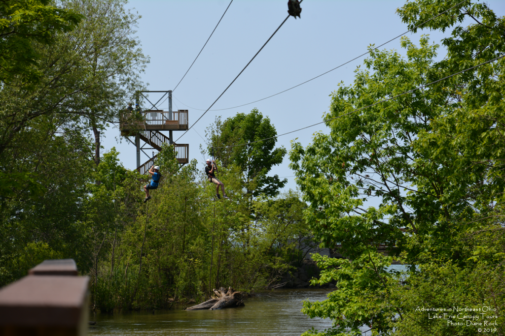 Lake Erie Canopy Tours