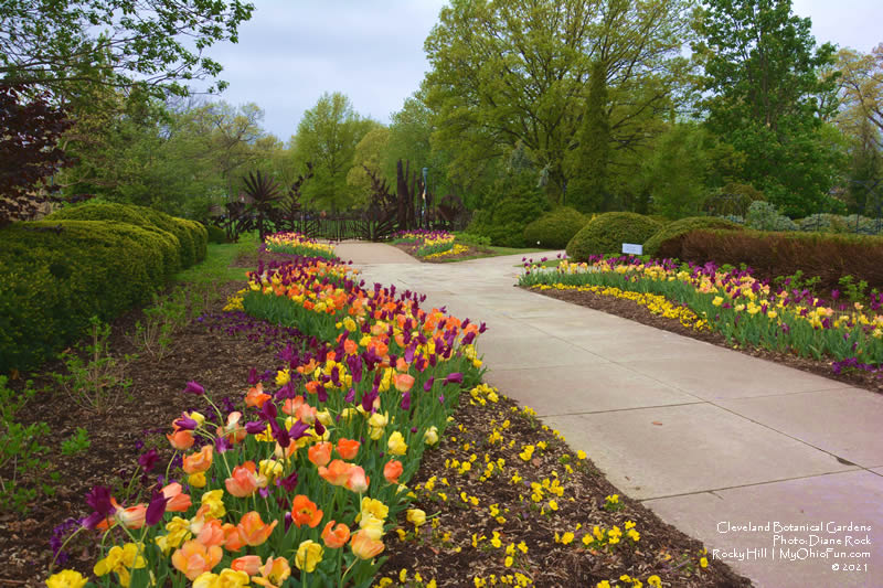 Cleveland Botanical Gardens 