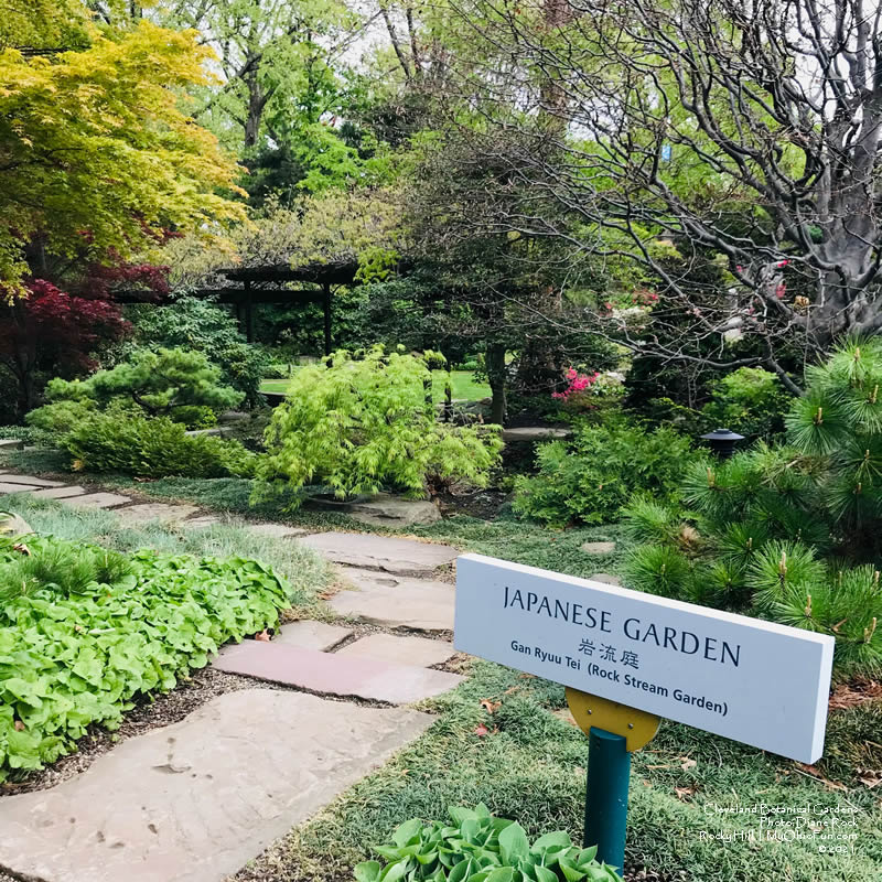 Japanese Garden Cleveland Botanical Gardens