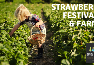 Strawberry Farms and Festivals in Ohio