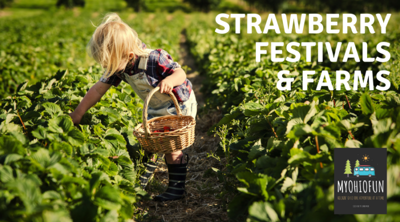 Strawberry Farms and Festivals in Ohio