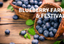 It’s Blueberry Season in Ohio