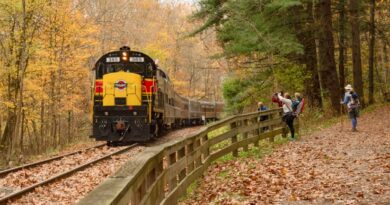 Fall Fun on the Rails