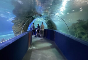 Greater Cleveland Aquarium 