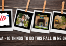 The Top 10 Things You Should Do This Fall in Northeast Ohio – AAA