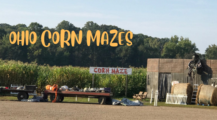 Ohio's corn mazes