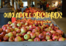 Ohio Apple Orchards