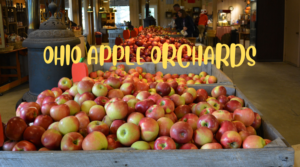 Ohio Apple Orchards 