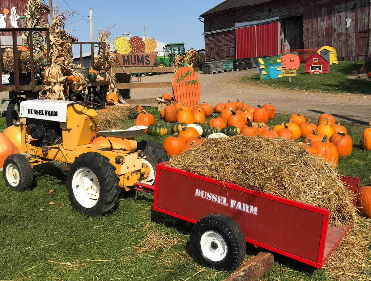 OHIO CORN MAZES - My Ohio Fun