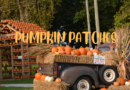 Ohio Pumpkin Patches