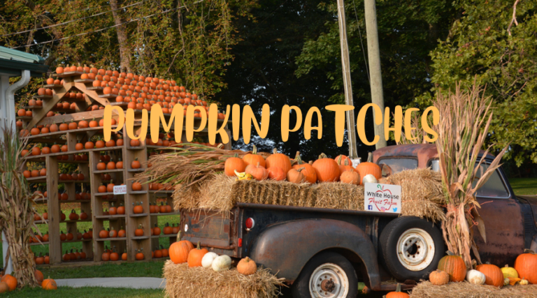 Columbia station pumpkin patch