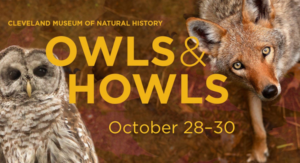 oWLS AND hOWLS - cLEVELAND nATURAL hISTORY mUSEUM