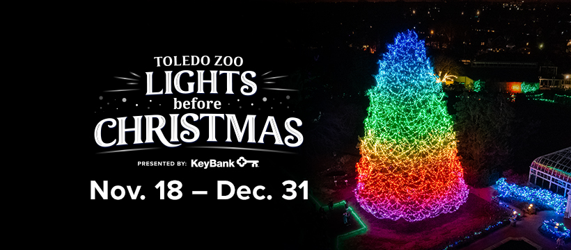 Toledo Zoo Lights Before Christmas