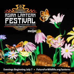 Asian Lantern Festival 