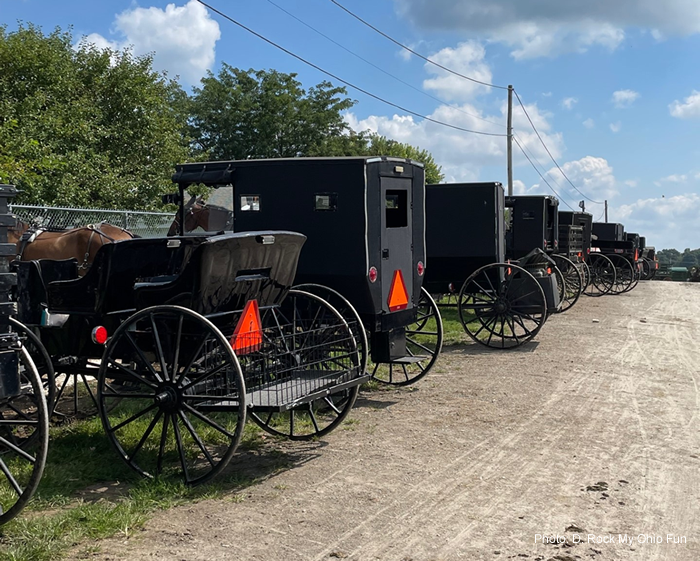 Ohio Amish Country buggies (Photo credit D. Rock My Ohio Fun)