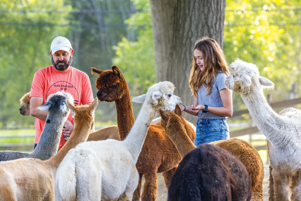 Pure PASSION fARM