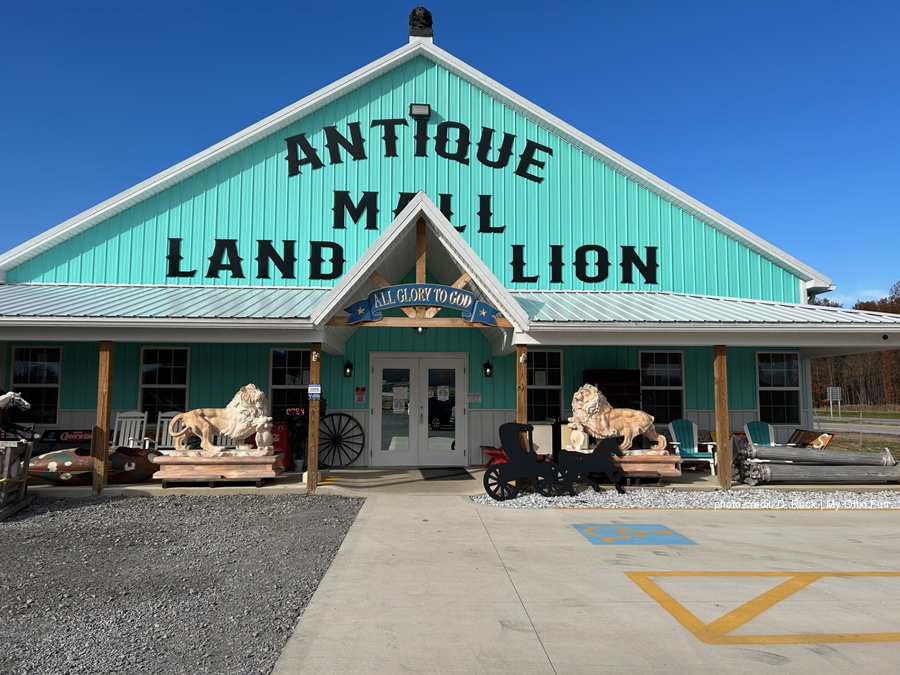 Land Lion Antique Mall 