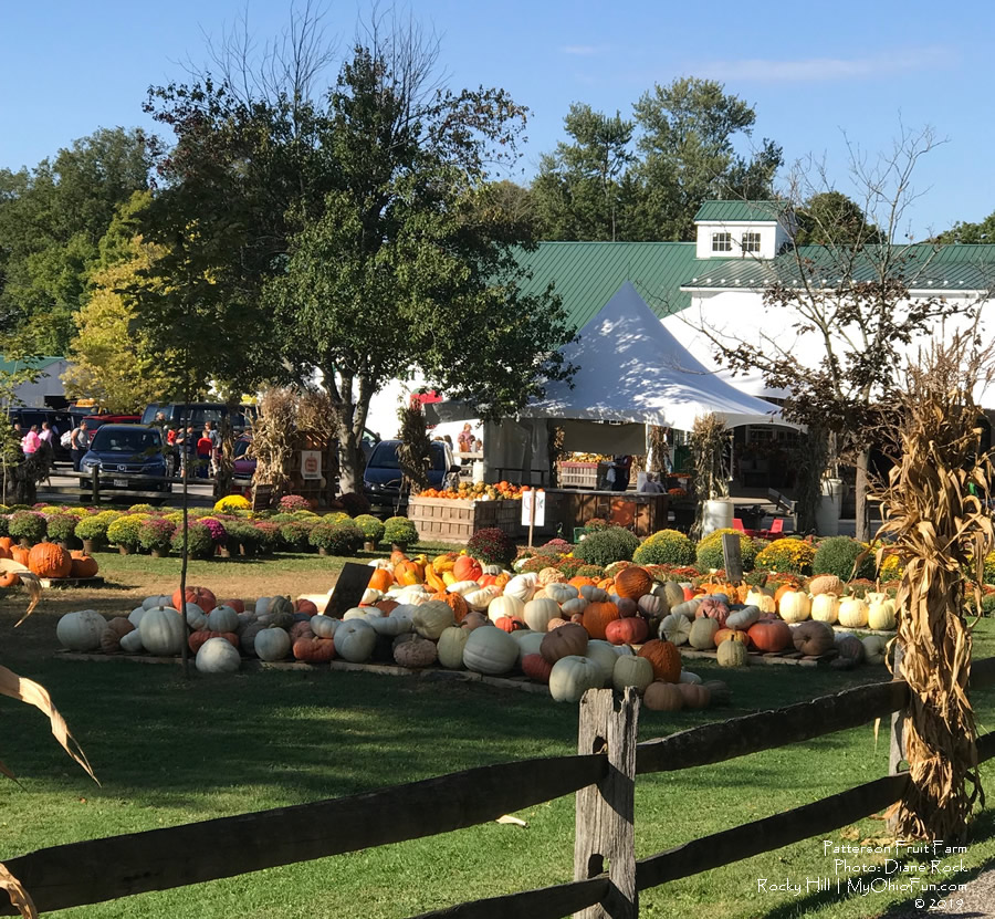 Patterson's Fruit Farm | My Ohio Fun 