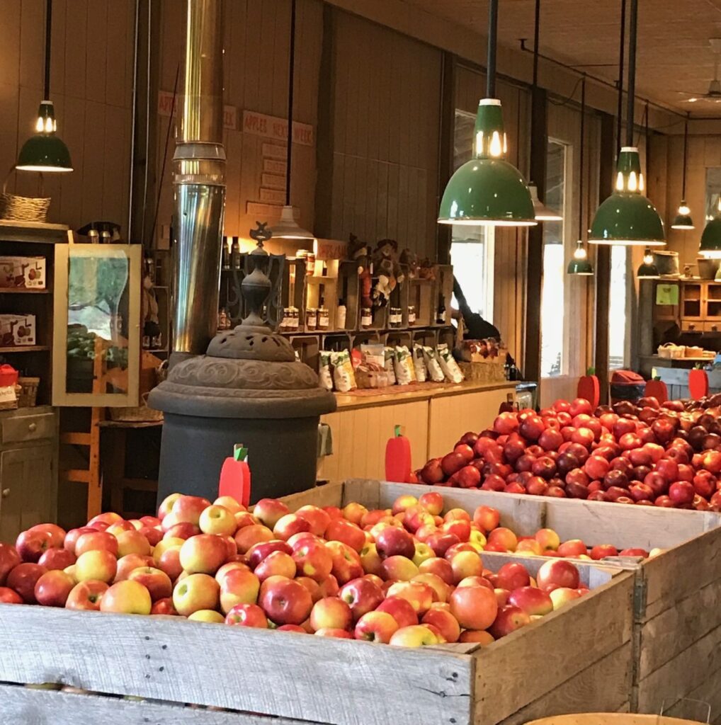 Brants Apple Orchard - My Ohio Fun 