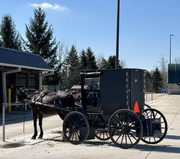 Amish Buggies Middlefield Ohio