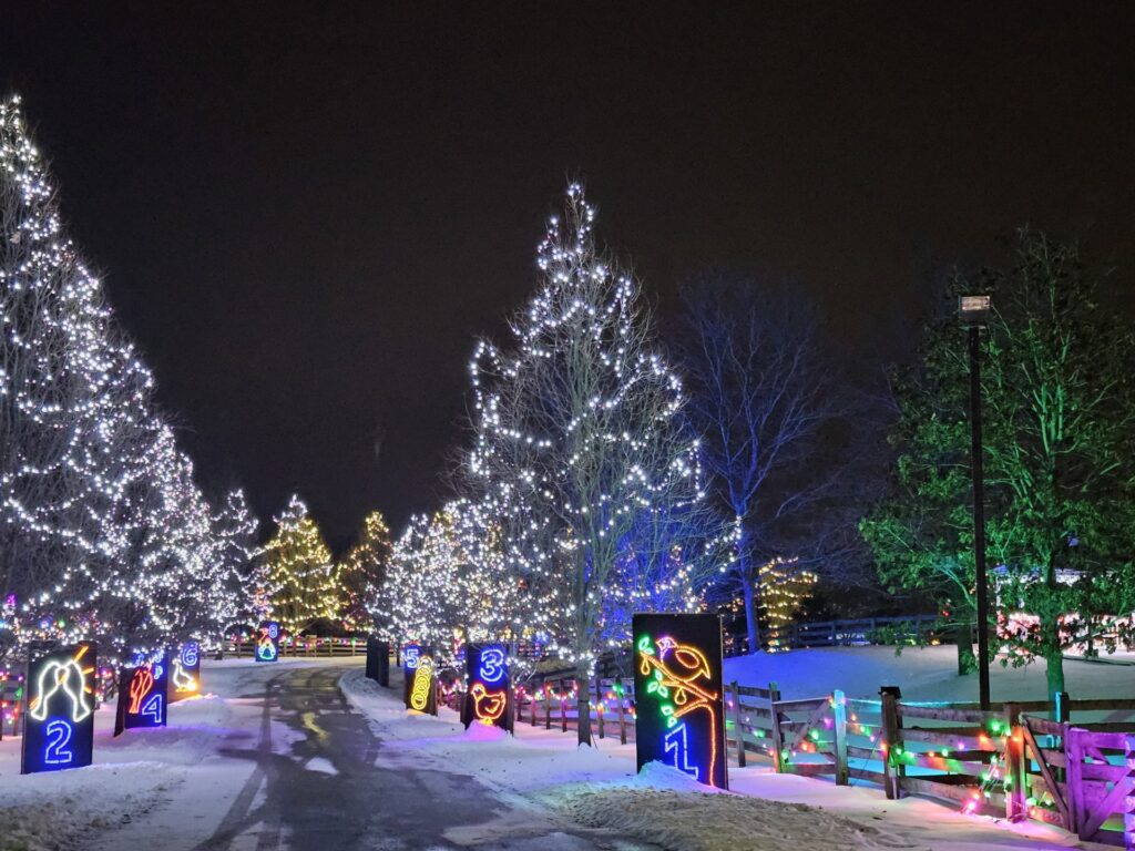 Lake Metroparks Country Lights