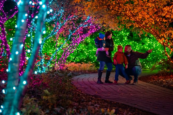 Toledo Zoo lights media