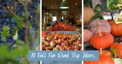 Ten Fun Things to do this Fall in Northeast Ohio. Road Trip!