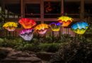 CHIHULY NIGHTS: A GLOWING AFTER-DARK EXPERIENCE