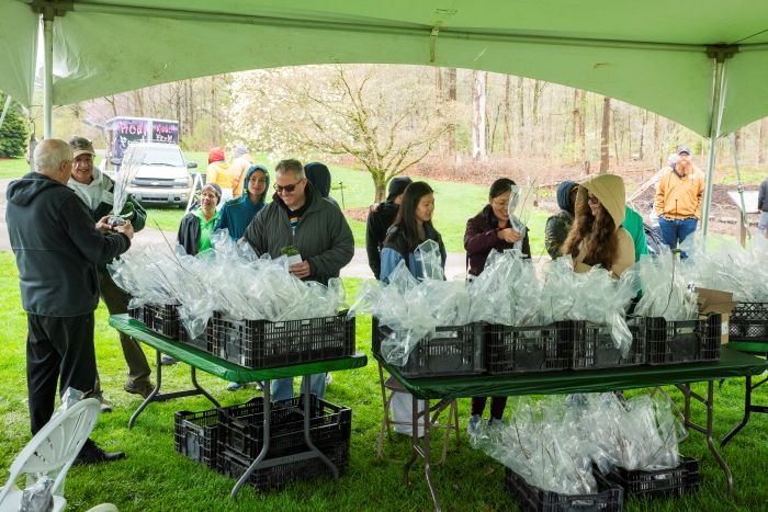 Photo courtesy of HOLDEN FORESTS & GARDENS. 