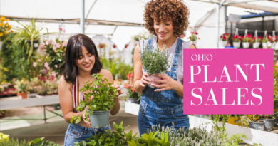 Spring Plant Sales in Ohio
