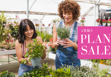 Spring Plant Sales in Ohio