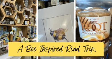 I TOOK A BEE INSPIRED ROAD TRIP. 🐝