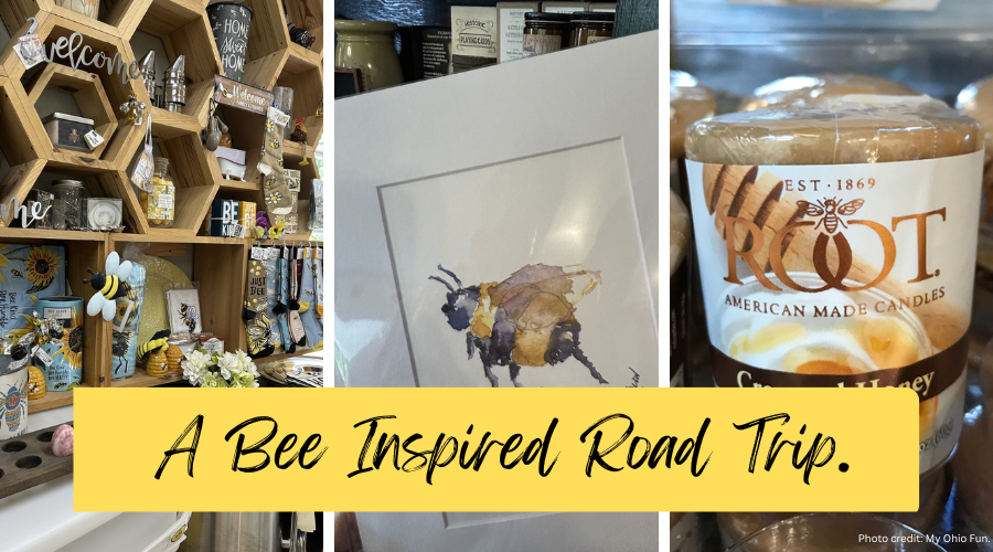 A Bee Inspired Road Trip