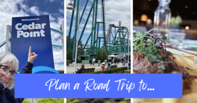 The Lake Erie Shores and Island region is FULL of incredible one day and overnight trips.
