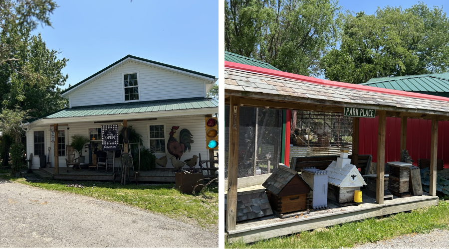 Queen Right Colonies and Das Amish House | My Ohio Fun