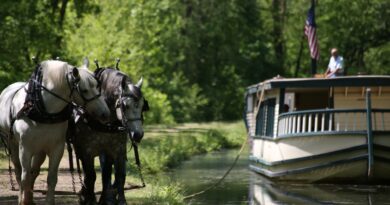 A Historic Roscoe Village Road Trip