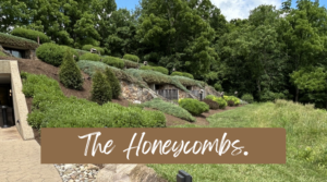 The Honeycombs - Millersburg OH