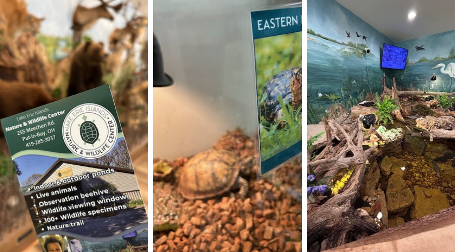 Lake Erie Island Nature Center