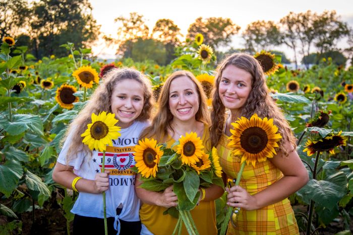 Coshocton Sunflower Fields - Media