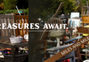 GET THOSE MOTORS STARTED. IT’S TREASURE HUNTING TIME!