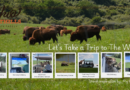 Let’s Take a Trip to “The Wilds”.