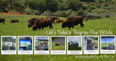 Let’s Take a Trip to “The Wilds”.