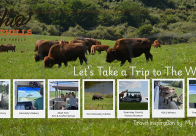 Let’s Take a Trip to “The Wilds”.