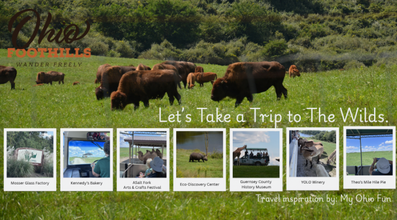 Let’s Take a Trip to “The Wilds”.